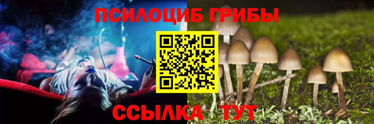 Будённовск  Галлюциногенные грибы мицелий  Вход с VPN  Псилоцибиновые грибы ЛСД 
